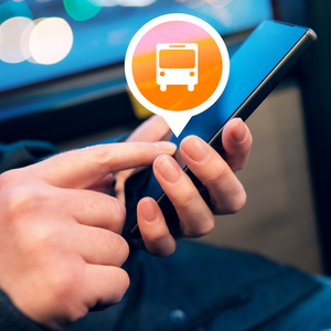person holding a smart phone